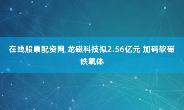 在线股票配资网 龙磁科技拟2.56亿元 加码软磁铁氧体