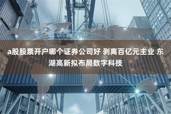 a股股票开户哪个证券公司好 剥离百亿元主业 东湖高新拟布局数字科技